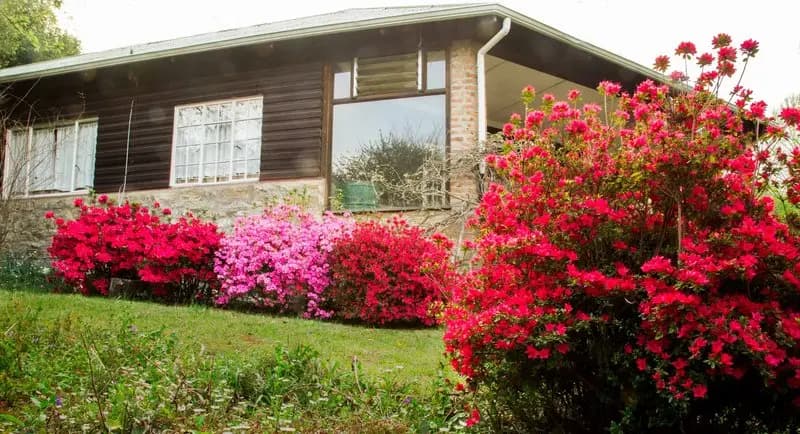 Redwood Manor photo 4