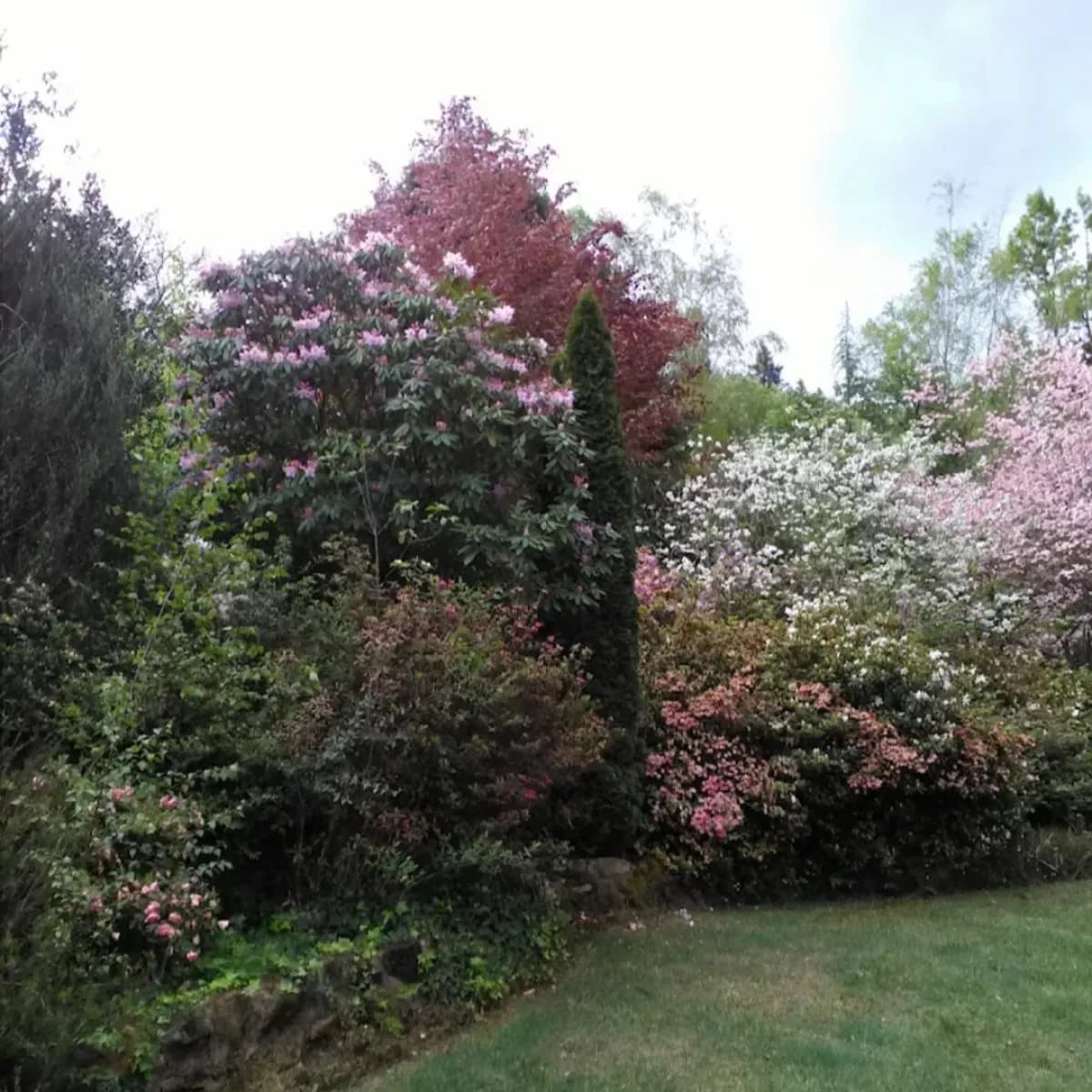 Applegarth gardens photo 2