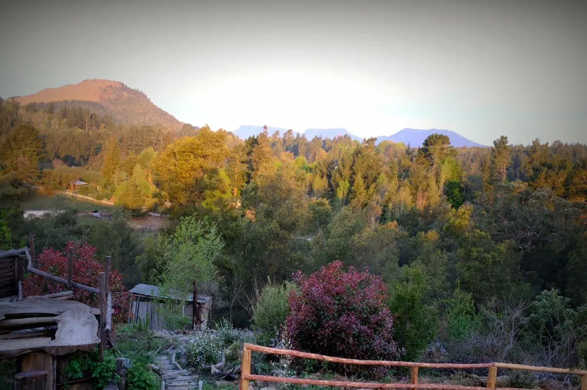 Wild Fox Hill photo 4