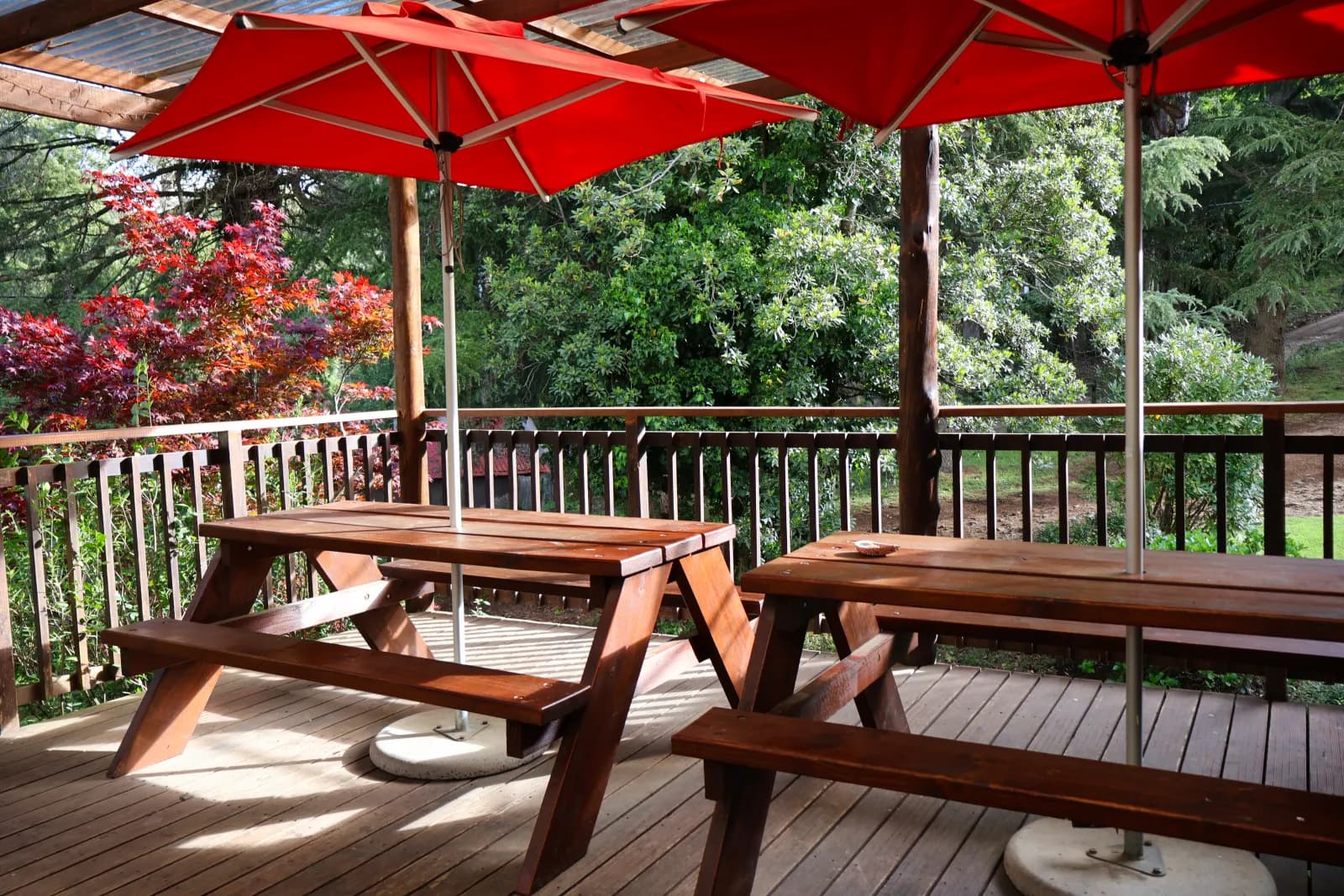 Yellowwood Bar @ The Inn photo 3