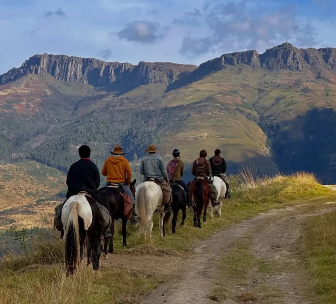 Terra Khaya - Horse Trails photo 2