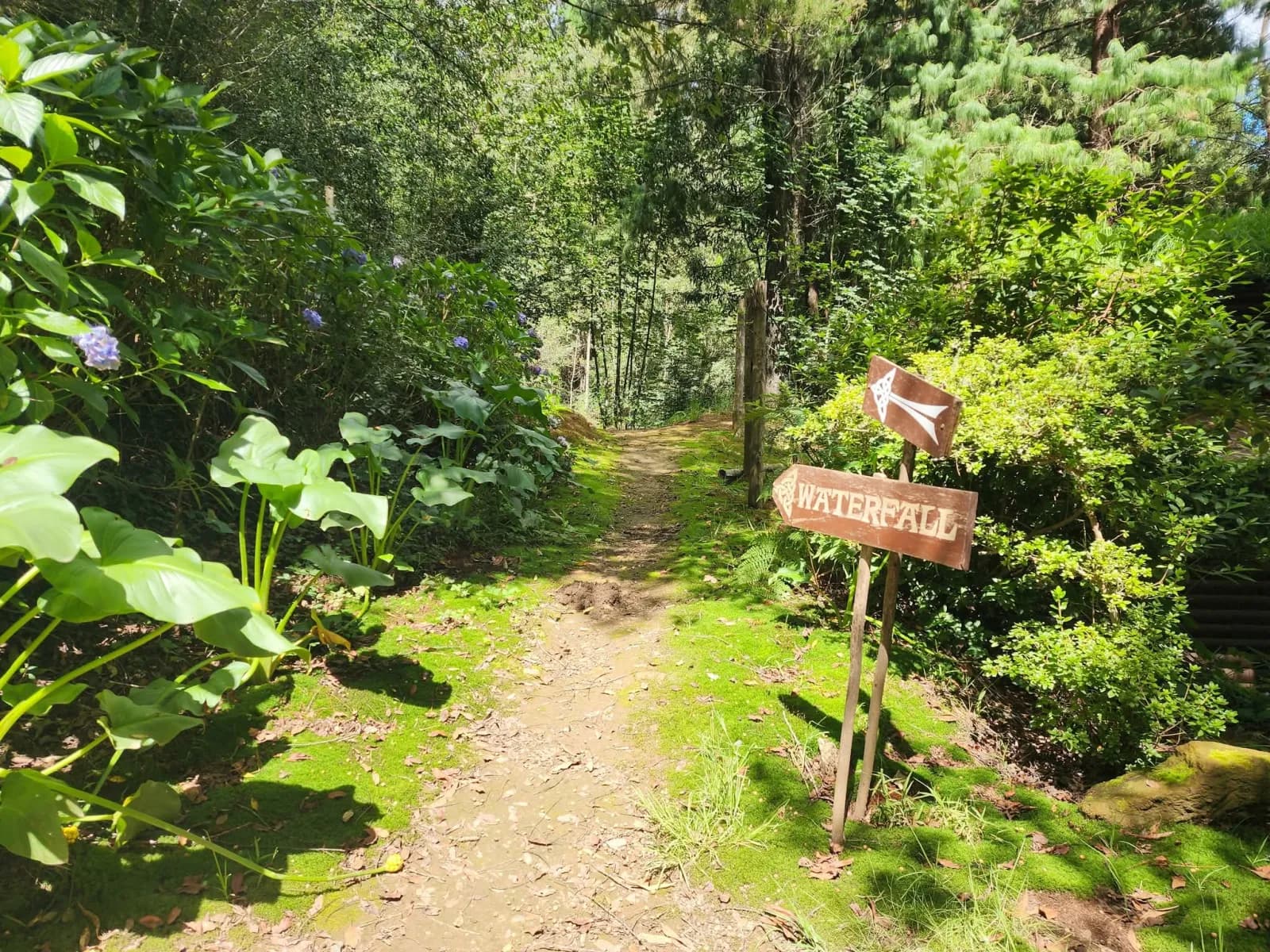 Hogrock Falls Cabins photo 4